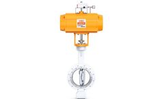 VBG - Model BR-B2 & BR-B3 - Rotary Control Valves