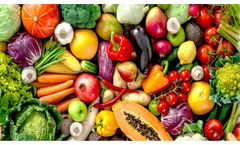 Food Waste Collections Services