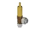 CPV - Relief Valves
