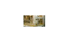 Torbed process reactor technologies solutions for biomass processing sector
