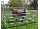Frishine - Cattle Yard Panel