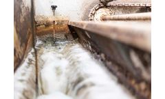 Biological Water Purification Services