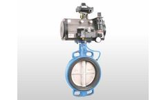 Aira - Replaceable Seat Pneumatic Butterfly Valve with Inflatable Seated