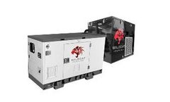 Wildcat - Maverick DC Generators