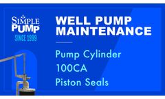 Simple Pump Maintenance - 100CA Cylinder Piston Seal - Video