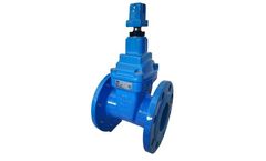 BIV Group - Model F4 and F5 - Gate Valves