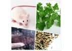 X-ray Biological Irradiator for small animal and cell and seed study