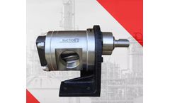 Jay Khodiyar - Model SS - Rotary Gear Pump