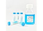AzuraView - GreenFast qPCR Blue Mix HR