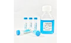 AzuraView - GreenFast qPCR Blue Mix HR