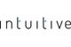 Intuitive AI