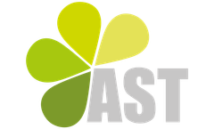Consulting Services