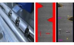 Model A1906 - Automatic Pellet Inspection System (APIS)