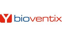 Sheep Monoclonal Antibodies (SMAs) Services
