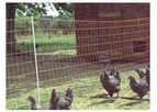 Anping - Poultry Netting