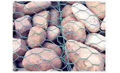 Anping - Hexagonal Wire Gabions