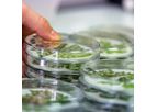 Phytosanitary Product Testing Service