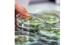 Phytosanitary Product Testing Service