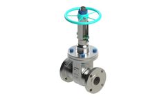 Freture - Model API - Gate Valve