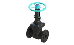 Freture - Forged Gate Valve