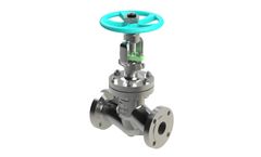 Freture - Model API 598 - Globe Valve