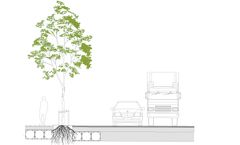 Trees In The Substratum