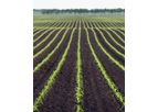 Woldlime - Model Calcium/Lime - Chalk - Agricultural Lime (Calcium Carbonate, CaCO3)