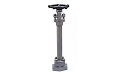 Speciality - Cryogenic Gate Valve