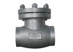 Speciality - Cryogenic Check Valve