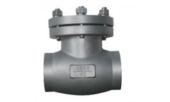 Speciality - Cryogenic Check Valve