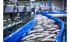 Odour Control Solutions for Fish Processing Industry