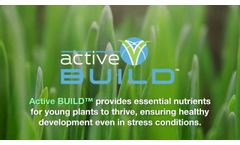 Active BUILD - Video