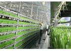 HydroFodder - Commercial Fodder System