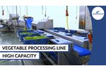 Vegetable Processing Line | Cutting, Washing & Drying - Video