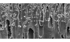 UF/MBR Membrane Autopsy Services