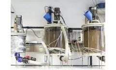 Engineering Services