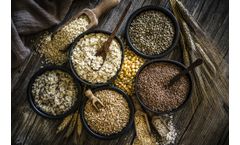 Commodity trading and risk management software solutions for grains areas