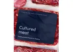 Model Muskel - Cultured-Meat