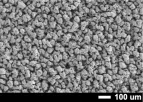 CellMo CryoStruct - Highly Porous Next-gen Metal Foam