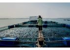 Sinova - Aquafeed