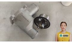VG1500061203 Thermostat Housing: Precision - Engineered for Peak Cooling System Performance