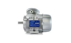Motive DELPHI - Model 56-132 Series - Three-phase Motors