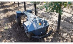 Aigro  at work: Weeding at Tree Cultivation Farm! - Video