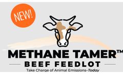 Low-Methane Animal