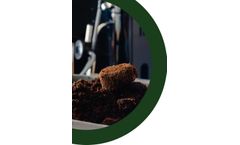 Bean to Green Service