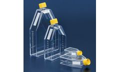 TPP - Tissue Culture Flasks 25 - 300 cm2