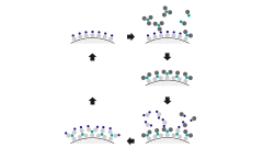 Atomic Layer Deposition