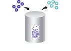Fluidized Bed Reactor