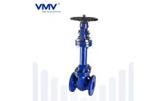 VMV - ANSI Standard Bellows Seal Gate Valve