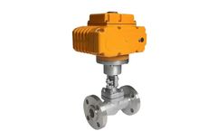 MFRS - Explosion-Proof Globe Control Valves